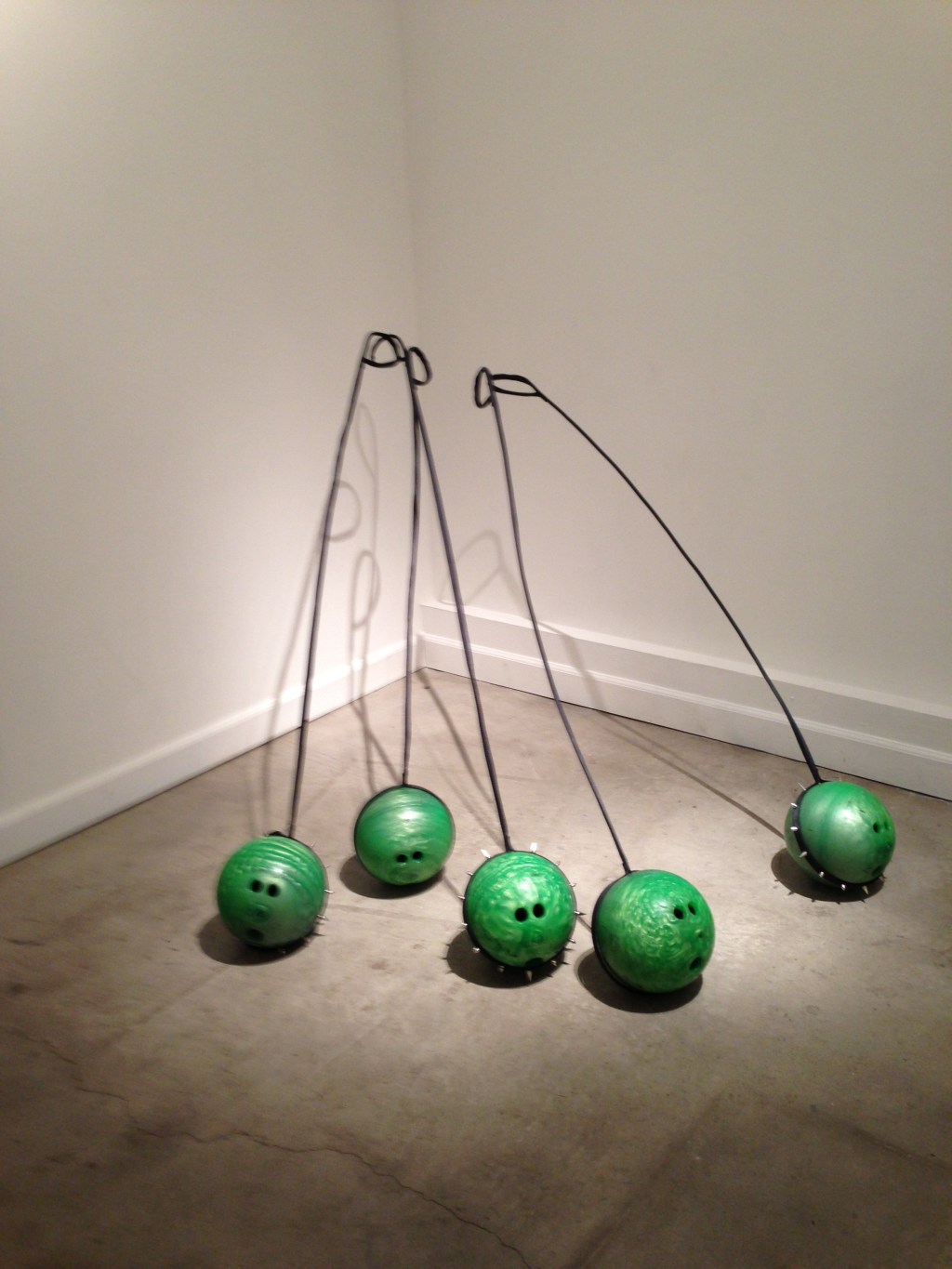 Pet peas on leashes, ready for their walk.