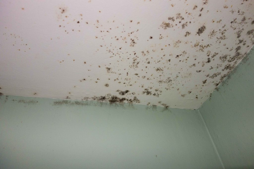 The ceiling is too far up for the maid to reach, I guess.