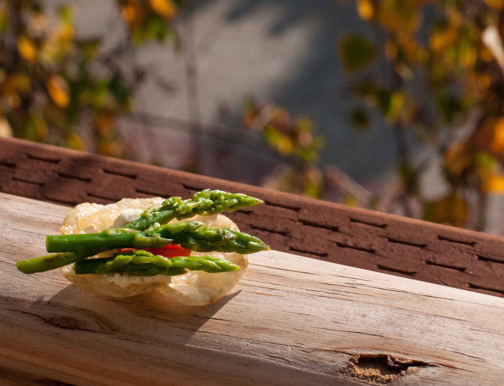 A little fall foliage in the background to set the scene.