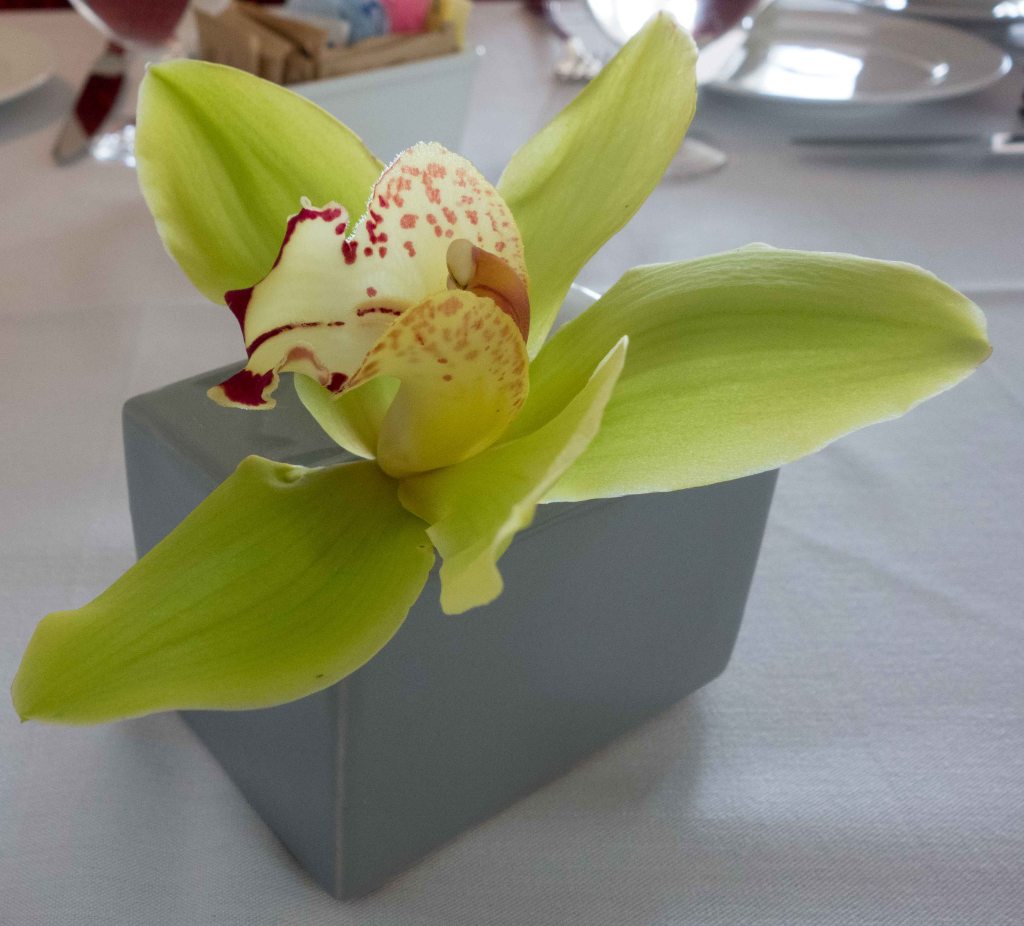 Orchids on the table in a severe, minimalist vase.  Sort of warm and cold at the same time.