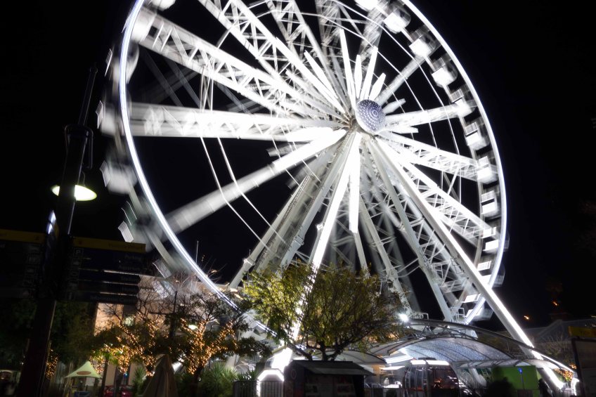 They look better at night.