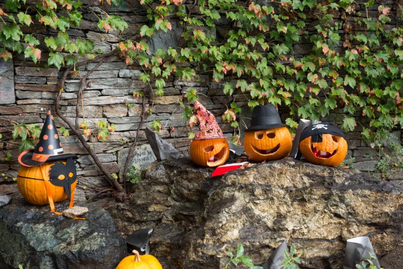 I think the second from the right is Michael.