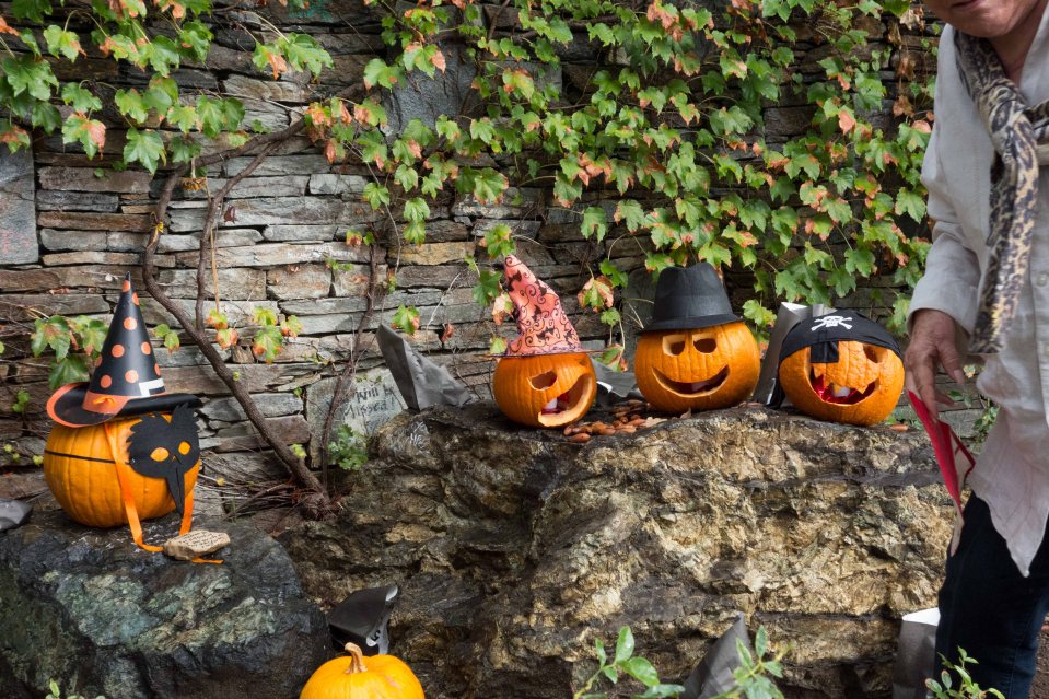 The mystery tidy person