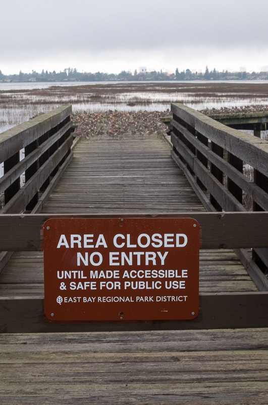 Are we really supposed to believe this?