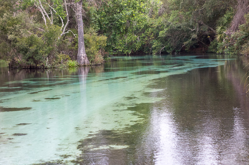 Nothing hidden on the bottom of this river.