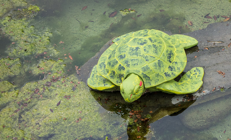 Okay, it's plastic.  No food or vet bills that way.