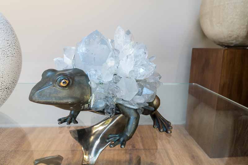 We like frogs. We have lots of them. 