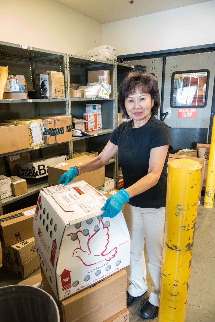 I think she was a bit scared of the package.