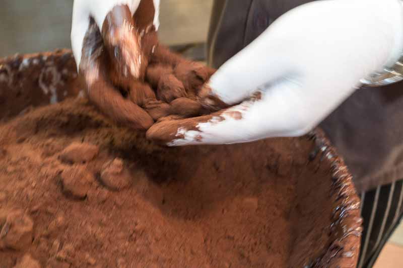 The final coating of cocoa powder.