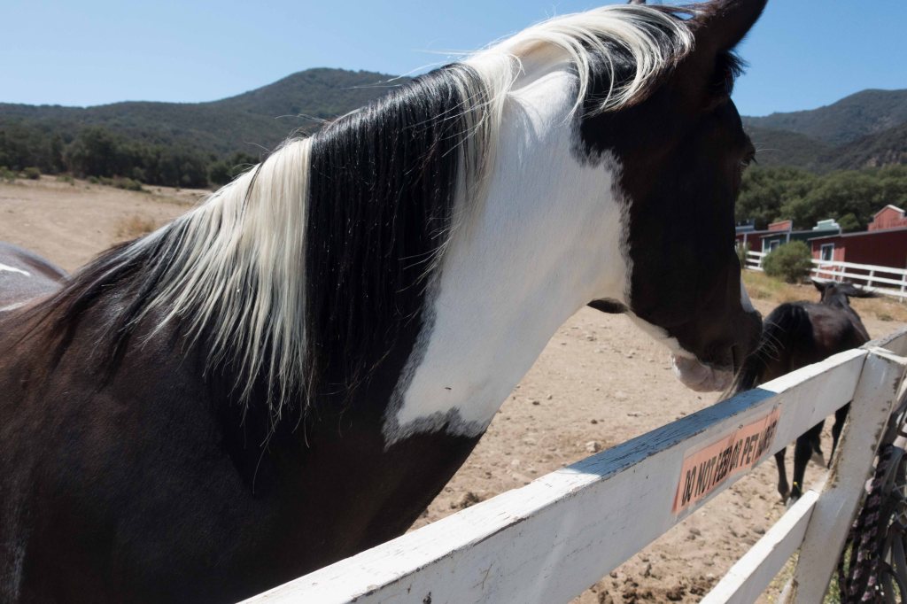 Odyssey was just visiting.