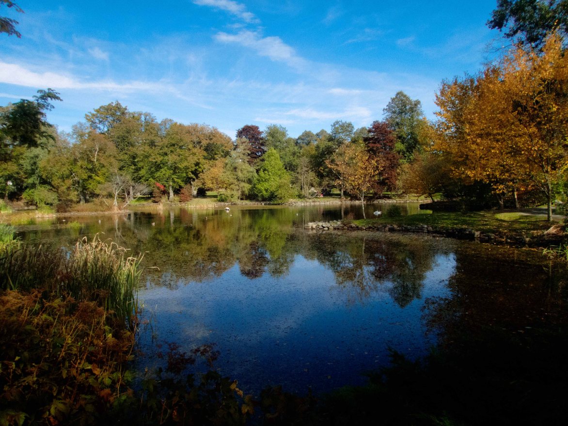 The reason to come here in the fall.