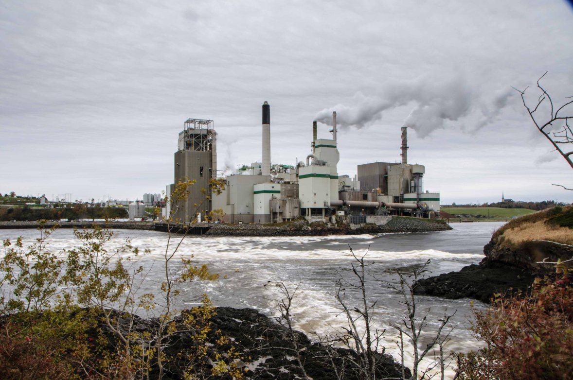 Low tide--the river runs over the rapids to the sea.