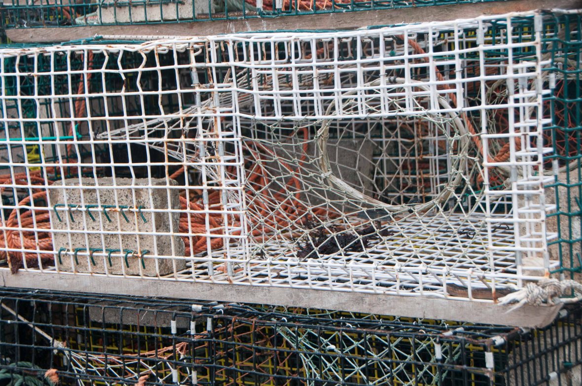 Tidy and ready to go.