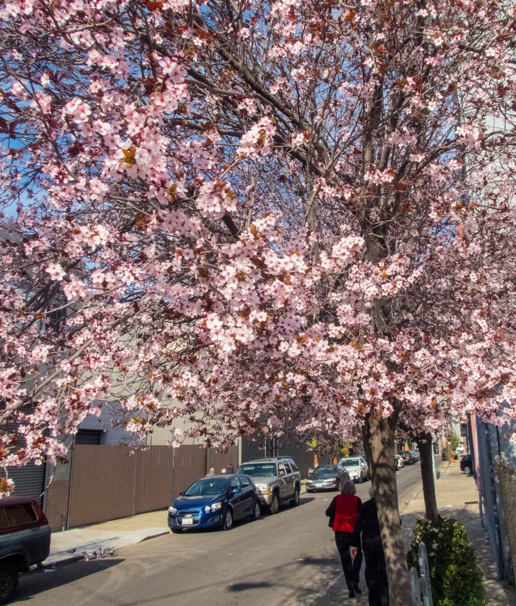 Spring is bustin' out all over.